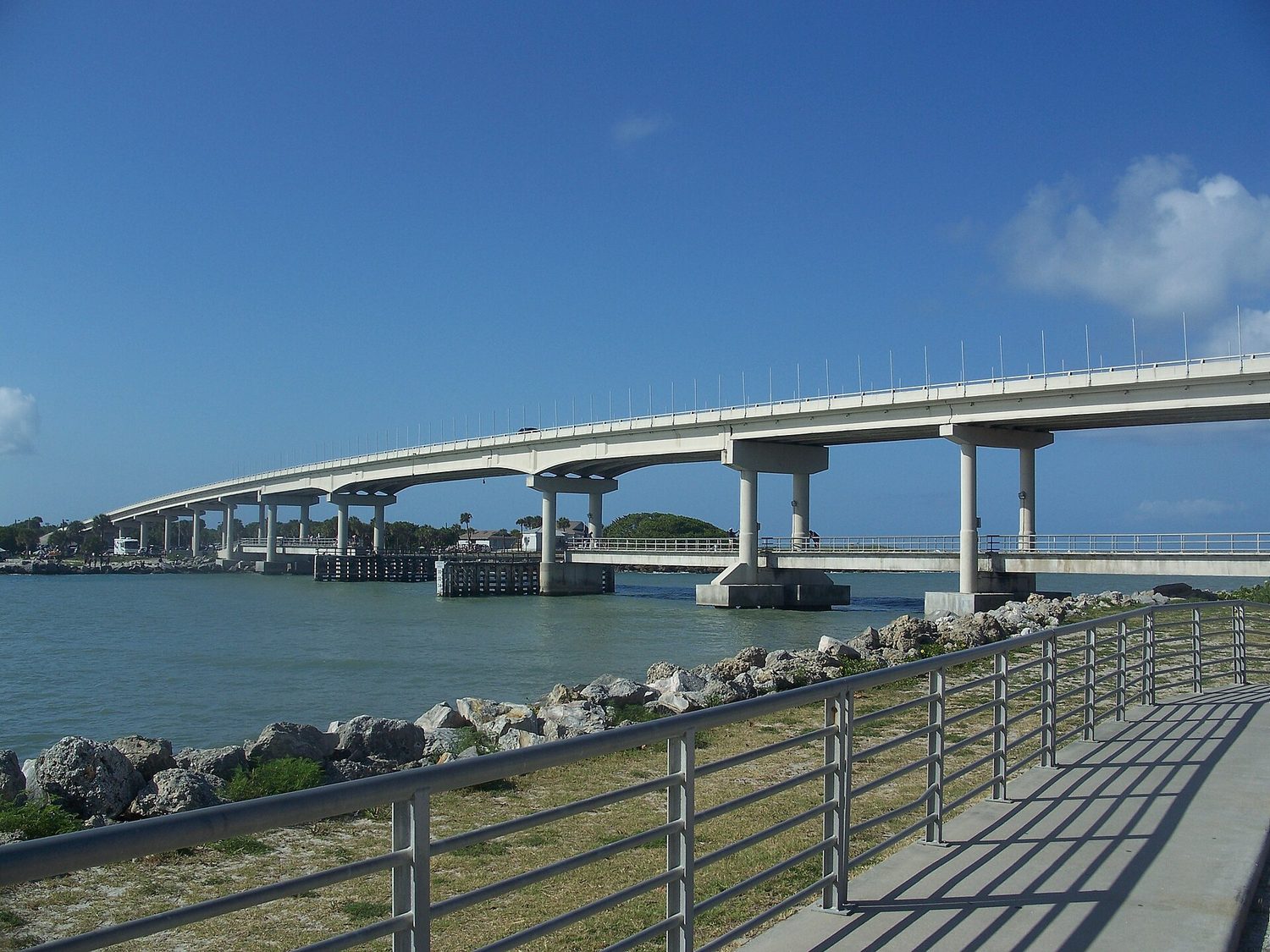 Orchid Florida Sebastian Inlet State Park south end A1A bridge